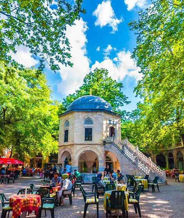 Bursa